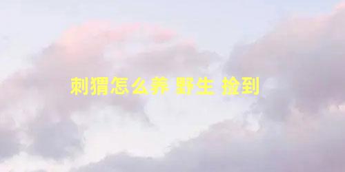 刺猬怎么养 野生 捡到